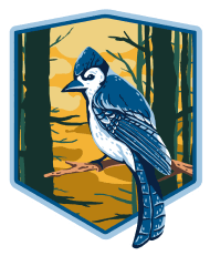 Blue Jay (Livonia)