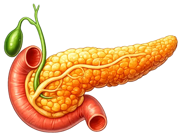 Endocrinology CGM Interpretation